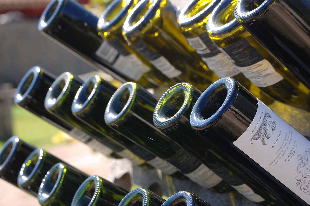 Bodega mendocina
